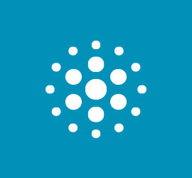 surveys-icon-smaller